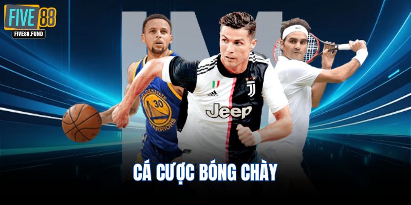 Cá cược bóng chày